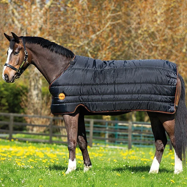 Rambo Ionic 100g Blanket Liner Rambo Ionic 100g Blanket Liner -Equestrian Gear 156971 800 auto
