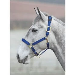 Shires Topaz Nylon Breakaway Halter - Navy