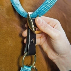 Shires Topaz Replacement Breakaway Loop - Brown