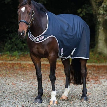 Amigo 100g Walker Rug - Black/Silver/Red Amigo 100g Walker Rug - Black/Silver/Red -Equestrian Gear 160848 800 auto