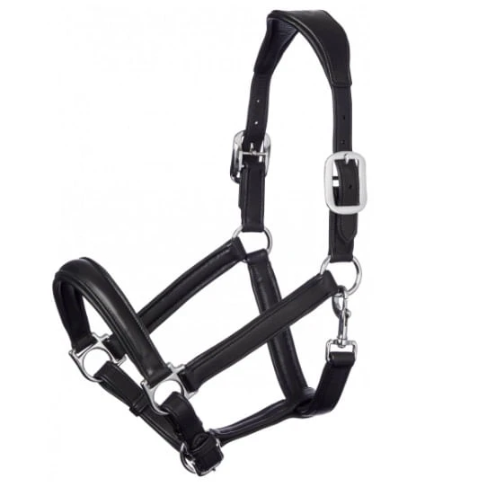LeMieux Anatomic Leather Halter - Black LeMieux Anatomic Leather Halter - Black -Equestrian Gear 162545 800 auto