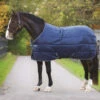 Amigo Insulator 350g Stable Rug - Navy/Navy/White