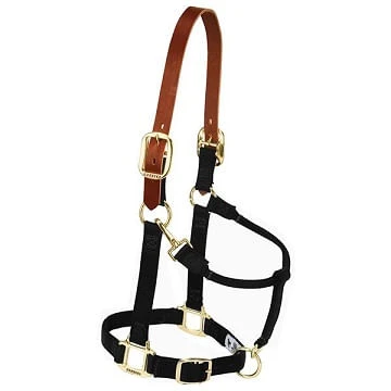 Weaver Original Adjustable Breakaway Halter - Black Weaver Original Adjustable Breakaway Halter - Black -Equestrian Gear 164592 800 auto