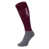 LeMieux Competition Sock - Burgundy