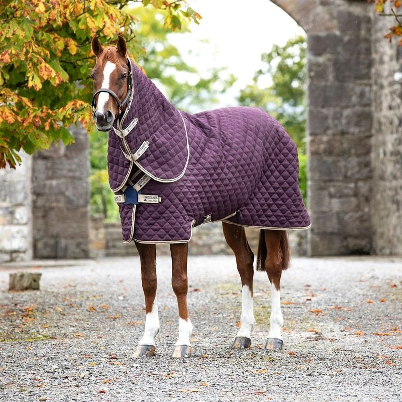 Amigo 200g Plus Quilted Stable Rug - Fig/Navy/Tan Amigo 200g Plus Quilted Stable Rug - Fig/Navy/Tan -Equestrian Gear 455750 800 auto