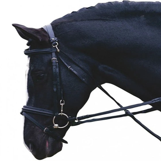 Kincade Chambon Training Device - Brown Kincade Chambon Training Device - Brown -Equestrian Gear 459078 800 auto