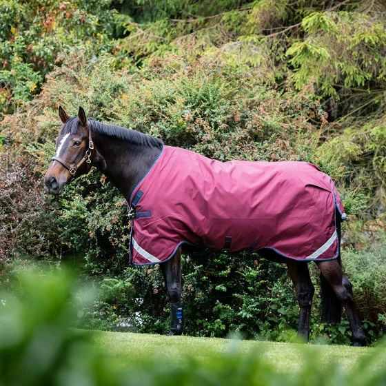 New Rambo Original Rain Sheet with Leg Arches - Burgundy/Teal/Navy New Rambo Original Rain Sheet With Leg Arches - Burgundy/Teal/Navy -Equestrian Gear 462979 800 auto