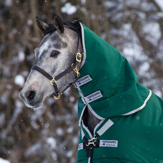 Rambo Original Rain Sheet Hood - Green/Silver Rambo Original Rain Sheet Hood - Green/Silver -Equestrian Gear 463253 800 auto