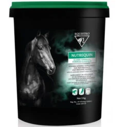 GENERIC Vitamins & Minerals Supplement – Nutrequin Classic