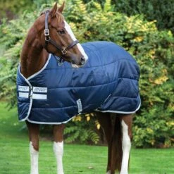 Amigo Insulator 200g Stable Rug - Navy/Silver
