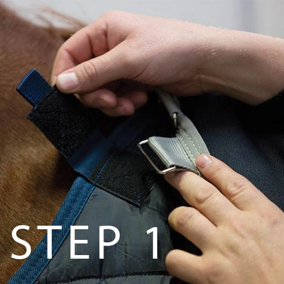 Horseware Ireland 200g Blanket Liner Horseware Ireland 200g Blanket Liner -Equestrian Gear 468746 800 auto