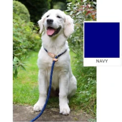 Shires Digby & Fox Reflective Slip Lead - Navy