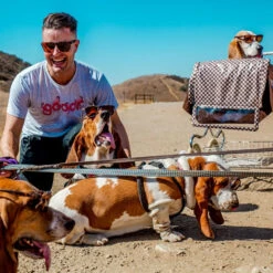 Goodr Bosley's Basset Hound Dreams Sunglasses -Equestrian Gear 469932 800 auto