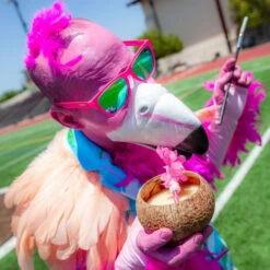 Goodr Flamingos On A Booze Cruise Sunglasses 2 Goodr Flamingos On A Booze Cruise Sunglasses -Equestrian Gear 469936 800 auto