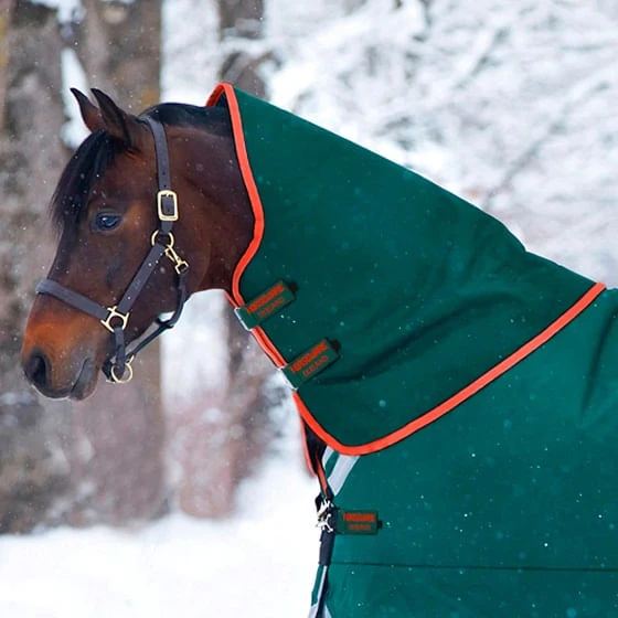 Rambo Original Rain Sheet Hood - Green/RedRed Rambo Original Rain Sheet Hood - Green/RedRed -Equestrian Gear 476547 800 auto