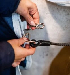 Horseware Ireland Horseware Eco Liner (200g Medium) - Teal Eco Print/Grey -Equestrian Gear 477662 800 auto