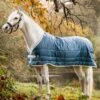 Horseware Ireland Horseware Eco Liner (400g Heavy) - Teal Eco Print/Grey