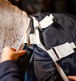 Horseware Ireland Horseware Eco Liner (400g Heavy) - Teal Eco Print/Grey 3 Horseware Ireland Horseware Eco Liner (400g Heavy) - Teal Eco Print/Grey -Equestrian Gear 477736 800 auto