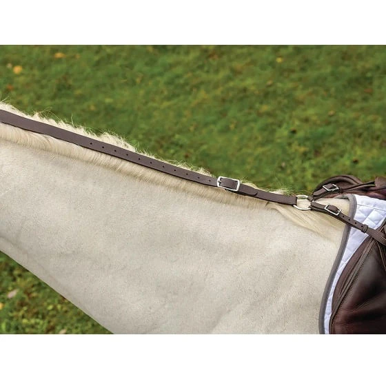 Shires Avignon Leather Daisy Rein Shires Avignon Leather Daisy Rein -Equestrian Gear 484778 800 auto