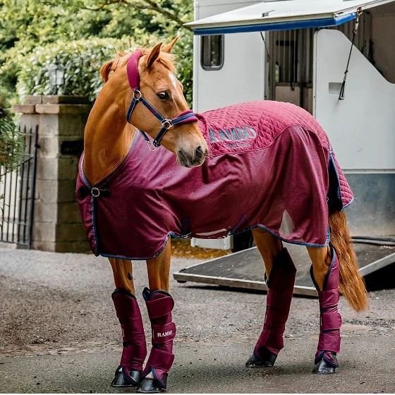 Rambo Travel Series 50g Lite Blanket - Burgundy Rambo Travel Series 50g Lite Blanket - Burgundy -Equestrian Gear 499261 800 auto