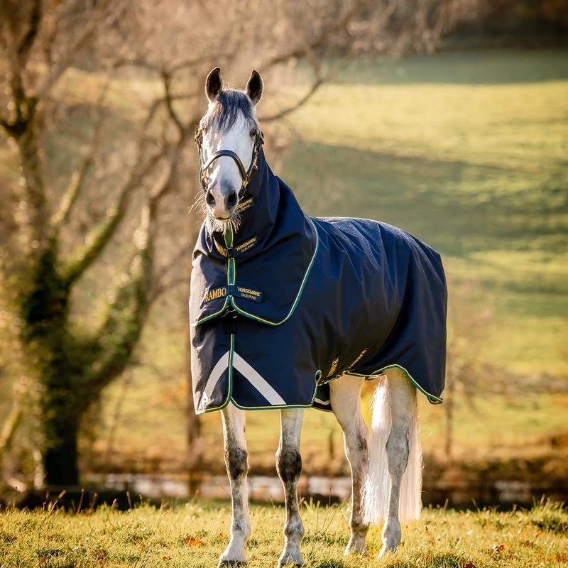 Rambo Duo Force 2.0 Turnout - Navy/Teal/Gold Rambo Duo Force 2.0 Turnout - Navy/Teal/Gold -Equestrian Gear 516440 800 auto