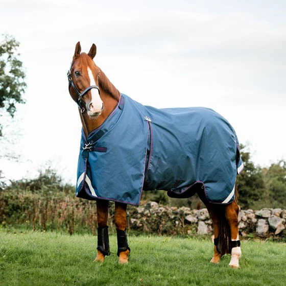 Rambo Optimo Rain Sheet - Navy/Burgundy/Teal/Navy Rambo Optimo Rain Sheet - Navy/Burgundy/Teal/Navy -Equestrian Gear 523322 800 auto